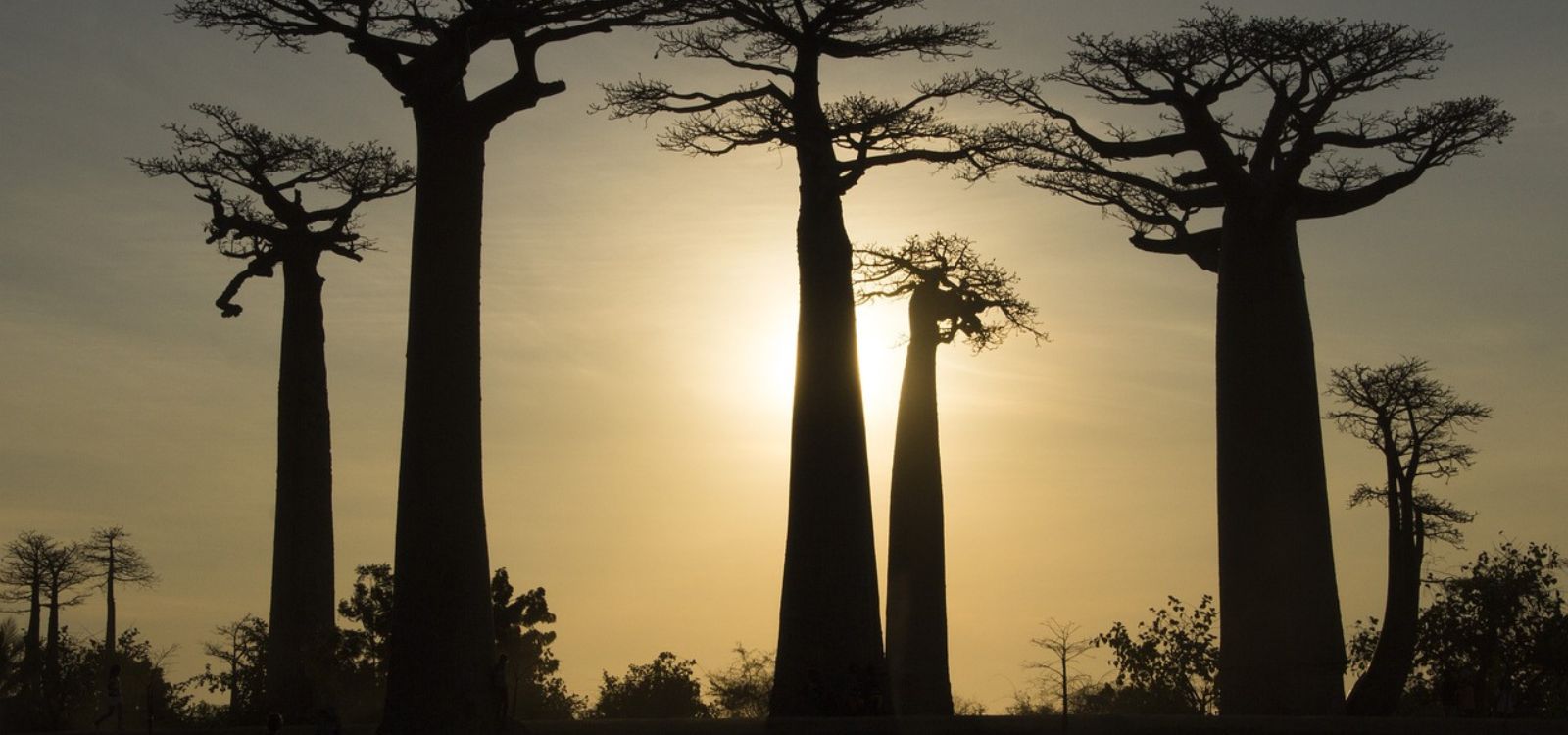 Madagascar	